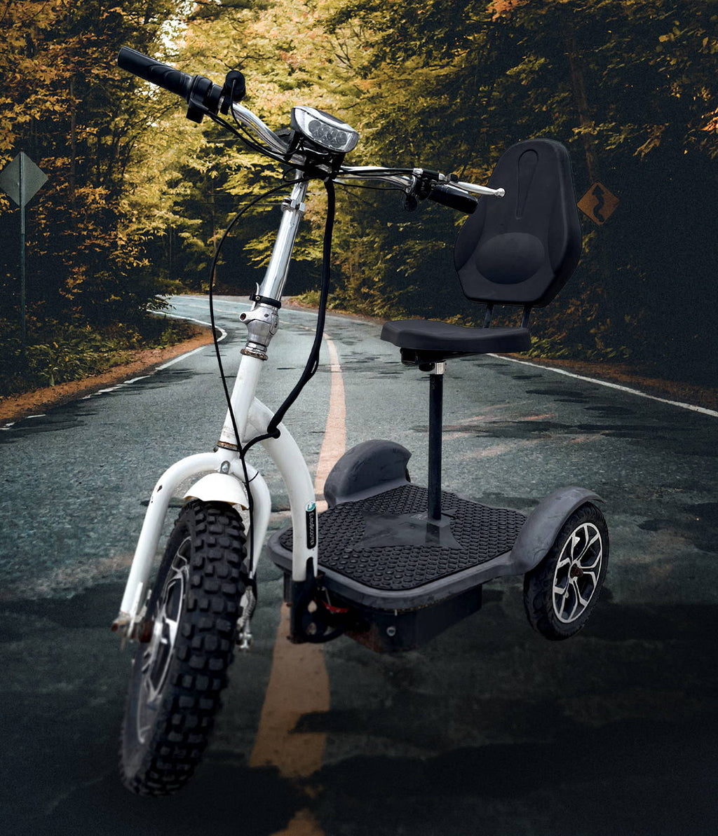 Roma E Mobile Euro Scooter-2025 MODEL Free local pick up and delivery options in Minnesota & Florida  Interest Free financing available.